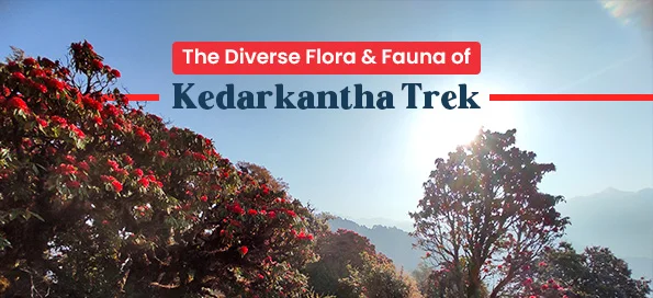 The Diverse Flora & Fauna of Kedarkantha