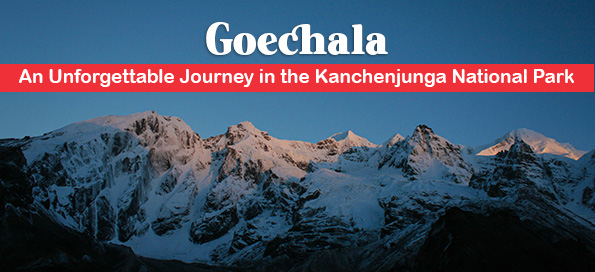 Goechala - An Unforgettable Journey in the Kanchenjunga National Park