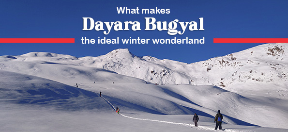 What makes Dayara Bugyal the ideal winter wonderland