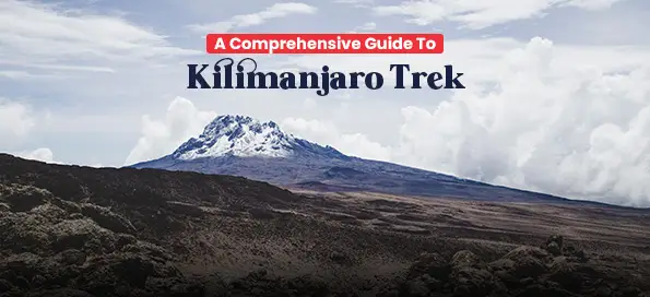 A Comprehensive Guide To Kilimanjaro Trek