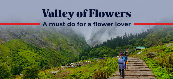 Valley of Flowers: A must do for a flower lover