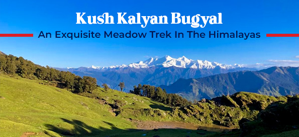 Kush Kalyan Bugyal: An Exquisite Meadow Trek In The Himalayas