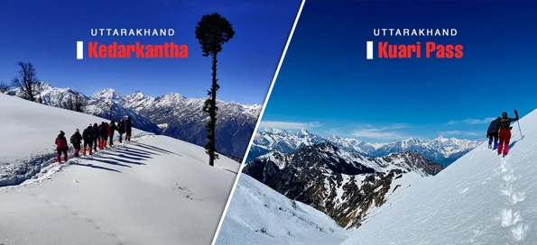 Kedarkantha Trek vs Kuari Pass Trek: Which trek to choose this winter?
