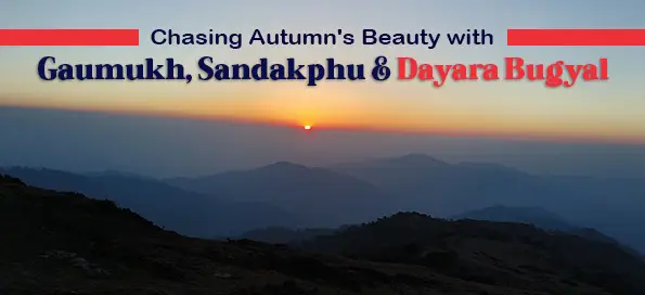 Chasing Autumn's Beauty with Gaumukh, Sandakphu & Dayara Bugyal