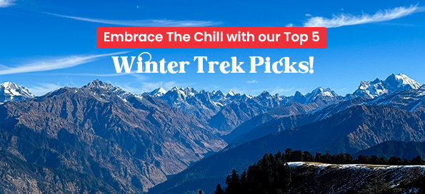 Embrace The Chill with our Top 5 Winter Trek Picks!