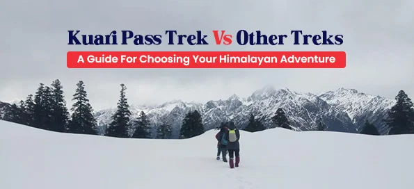 Kuari Pass Trek Vs Other Treks - A Guide For Choosing Your Himalayan Adventure