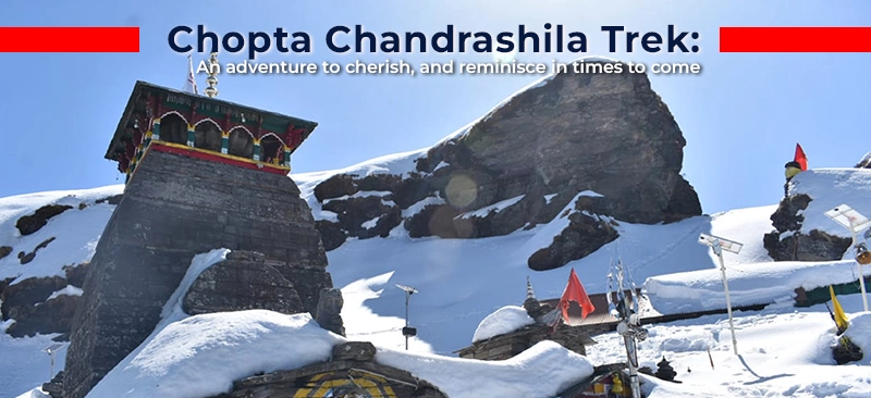 Chopta Chandrashila Trek: An adventure to cherish, and reminisce in times to come