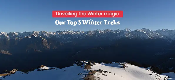 Unveiling The Winter Magic: Our Top 5 Winter Treks