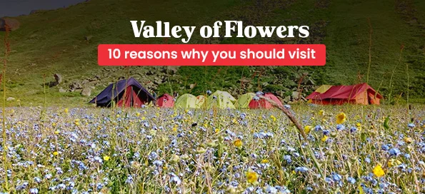 10 reasons why you should visit Valley of Flowers
