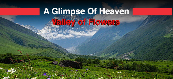 A glimpse of heaven – Valley of Flowers Trek