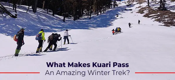 What Makes Kuari Pass An Amazing Winter Trek?