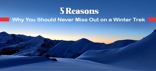 You Should Never Miss Out on a Winter Trek and Here’s 5 Reasons Why!