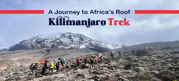 Kilimanjaro Trek: A Journey to Africa’s Roof