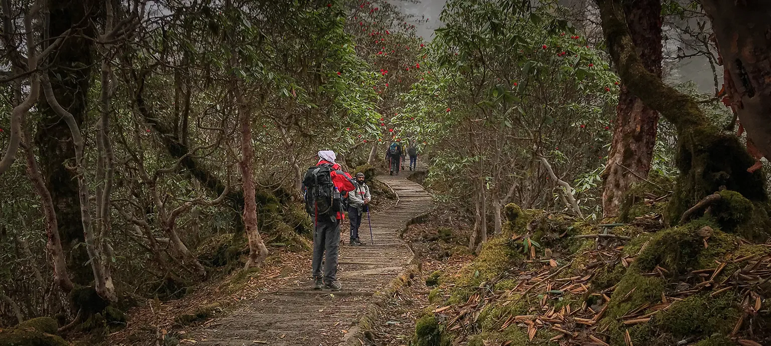 Sustainable Tourism