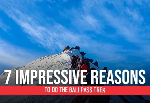 Bali Pass Trek 2025 - Trekking in Uttarakhand