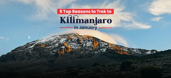 5 Top Reasons to Trek to Kilimanjaro in January