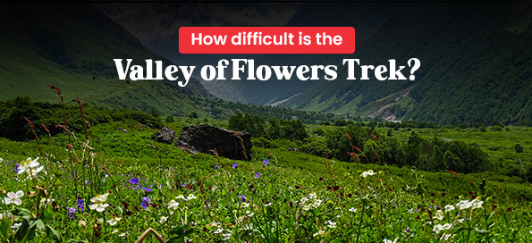 How difficult is the Valley of Flowers Trek?