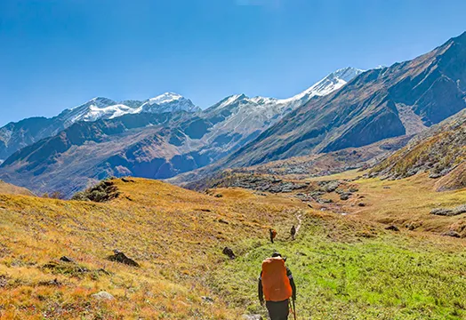 Latest Weather Update for the Treks - October 29, 2025