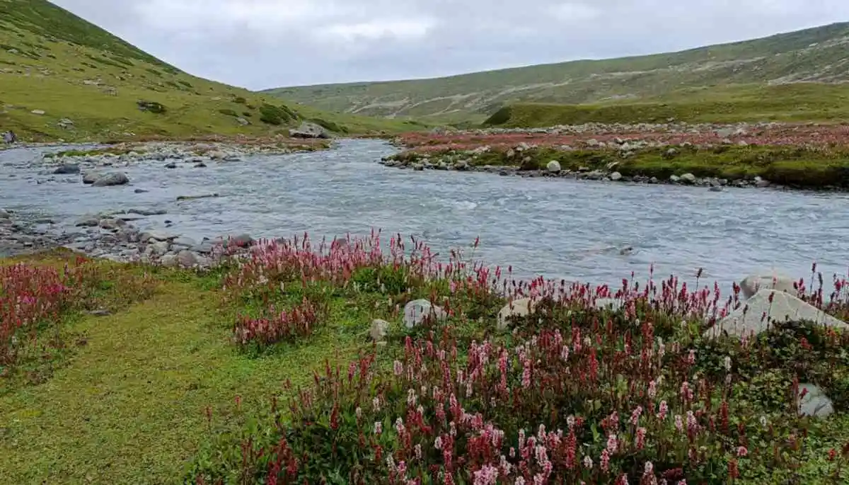 Doodhpathri Trek Day 3 Itinerary Doodhpathri Trek Day 3 Itinerary