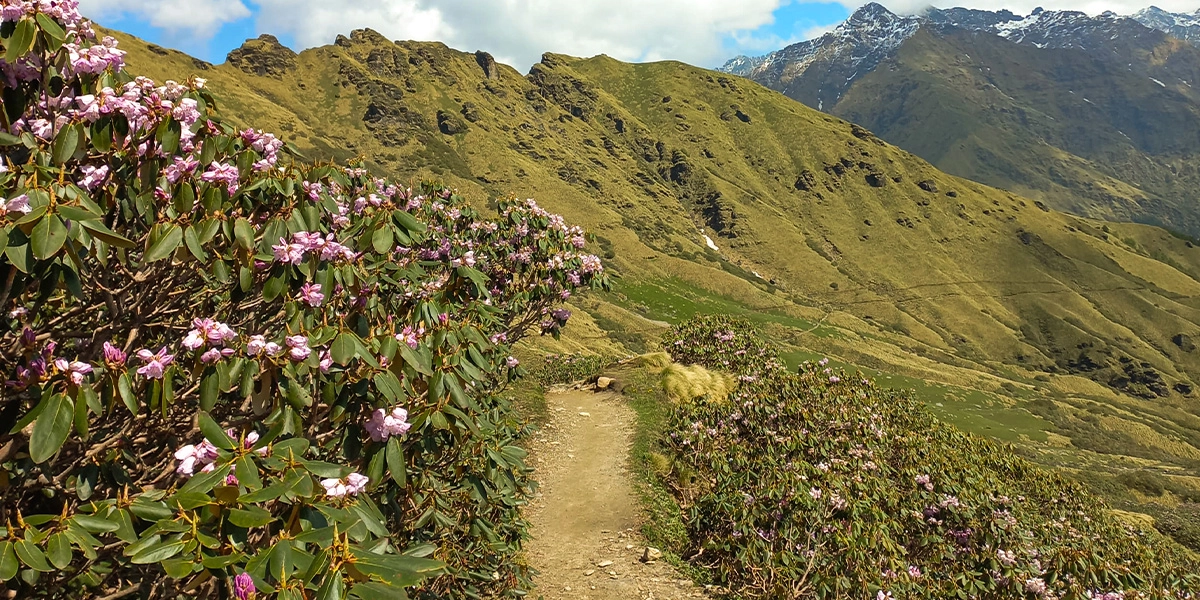 Panch Kedar Trekking panch kedar trekking day 8 itinerary