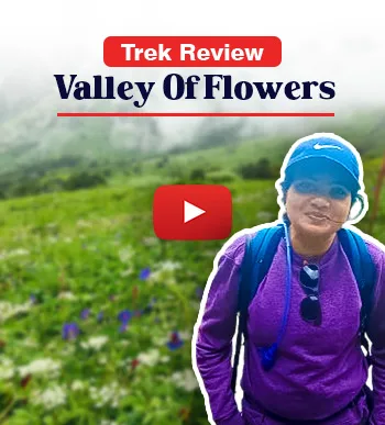 Trekker Review | Valley Of Flowers | Trekking In Monsoon.